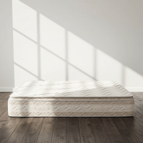 Inicio--8- Inicio--8-