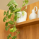 Design-sem-nome--15-